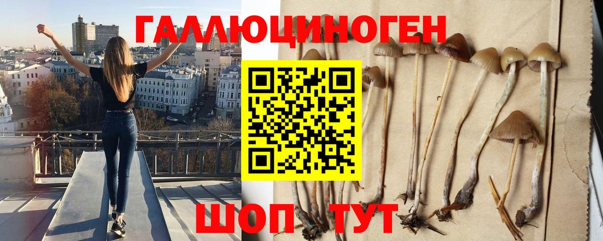 Фролово  Галлюциногенные грибы мухоморы  Вход с VPN  Псилоцибиновые грибы ЛСД 
