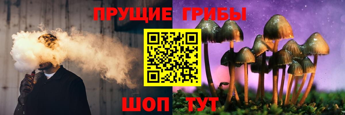 Псилоцибиновые грибы GOLDEN TEACHER Фролово